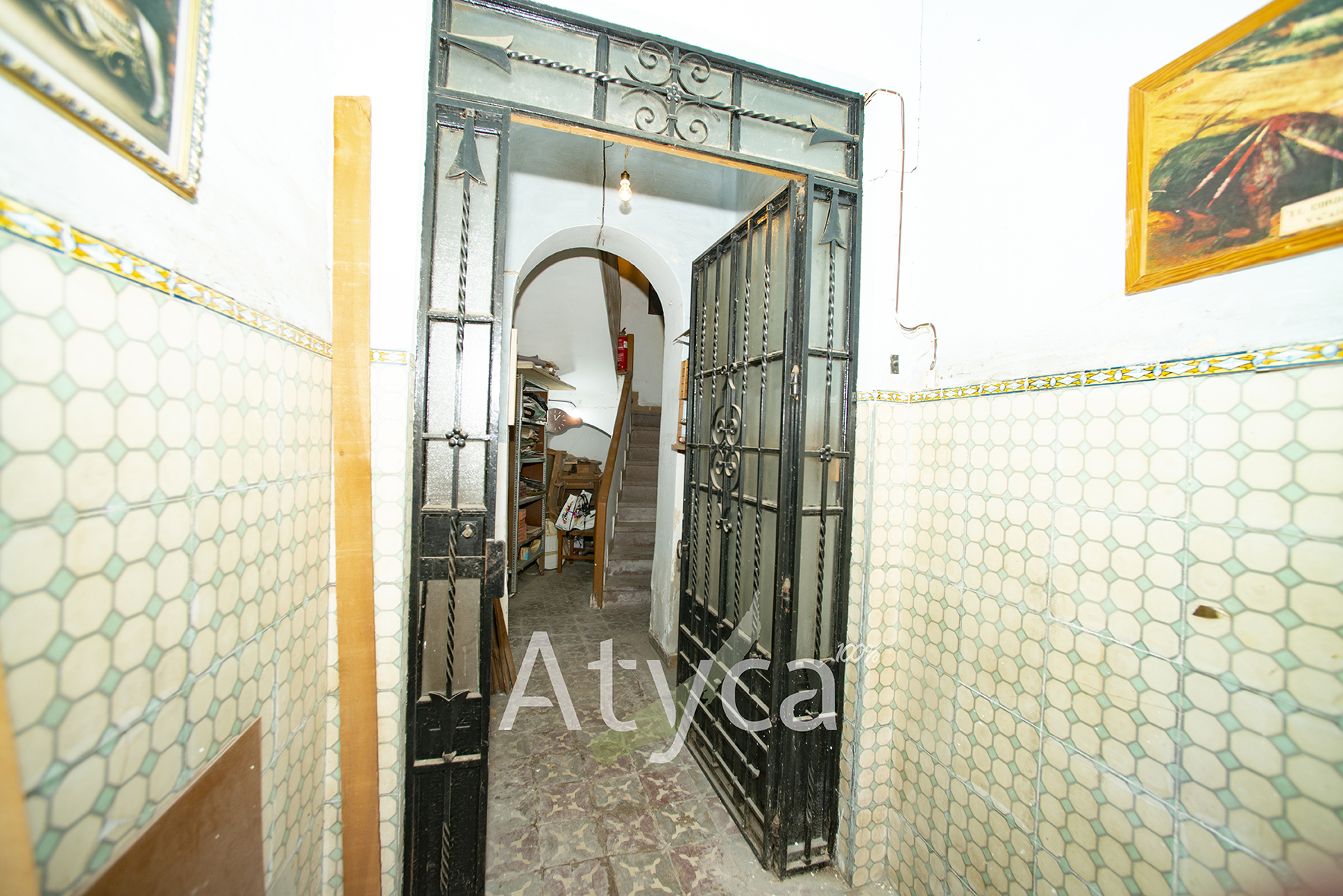 FSM_8662 copia